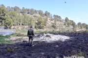 Un agent rural al lloc de l'incendi.