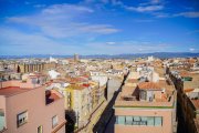 La Part Alta és un dels barris on l'estancament poblacional és més evident, junt amb alguns dels localitzats a la zona de Ponent.