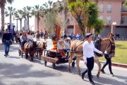 Imatge dels Tres Tombs de Roda de Berà d'aquest 2019.