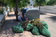 Restes de poda a la vorera de la urbanització Mas Roig.