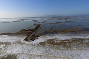 Pla aeri del mar penetrant als arrossars a la zona de la Marquesa, al delta de l'Ebre.