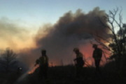 Imatge d'efectius dels Bombers treballant en el foc forestal de la Ribera d'Ebre.