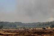 Pla general d'un helicòpter atacant un dels flancs de l'incendi  de la Torre de l'Espanyol. Imatge del 27 de juny de 2019