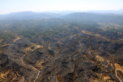 Gran pla geneal de la zona afectada per l'incendi de la Ribera d'Ebre.