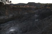 Pla general d'una de les zones cremades per l'incendi entre els termes municipals de Flix i Bovera. Imatge del 29 de juny del 20019 (Horitzontal).