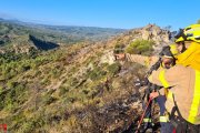 Els efectius dels Bombers s'han trobat amb un escenari complicat ateses les condicions de vent