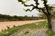 Pla general del barranc de la Galera amb aigua baixant al seu pas pel municipi de Masdenverge.