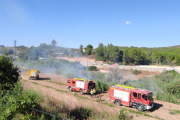 El foc es va originar ahir passades les 17.00h