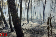 Un incendi a la zona del Pont del Diable el 20 de juliol del 2019 va cremar quasi 5.000 m2.