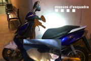 Imatge de la moto i l'animal que ha compartit la policia a arxes.