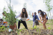 Los alumnos del INS El Morell haciendo la plantación ayer por la mañana.