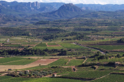 El Banc de Terres EbreBiosfera vol ser una eina per evitar l'abandonament agrari i el despoblament rural.