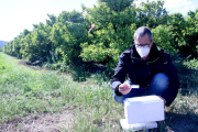 El director territorial d'Agricultura, Jesús Gómez, amb una caixa amb insectes.