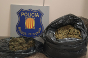 Els agents van aturar el vehicle del qual sortia una forta olor a marihuana.