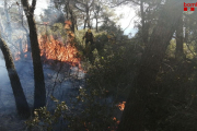 Algunos de los efectivos de los Bomberos trabajando en la extinción del fuego en la Conca de Barberà.