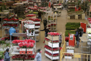 L'interior del Mercat de Flor i Planta Ornamental de Catalunya en plena campanya de Nadal