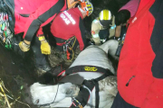 El cavall ha estat rescatat finalment amb un helicòpter.