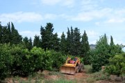 El pagès d'Alcanar, Josep Sancho, treballant amb el seu tractor en la restauració d'una finca.