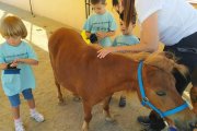 Infants al Casal de l'Autisme que  es va fer aquest estiu a Tarragona.