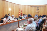 Imatge del ple del Consell Comarcal del Baix Ebre.