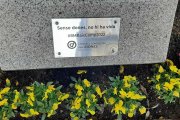 Placa amb el lema de la campanya en un arbre de la plaça de Sant Francesc.