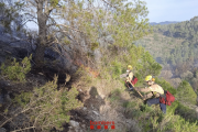 Imatge dels Bombers a l'incendi forestal d'Ascó.