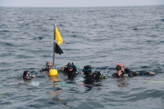 Un grup de submarinistes es prepara per iniciar la immersiió a les sepieres de l'Ametlla de Mar.