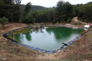 Balsa artíficial en una finca del Montmell renaturalizada por la Xatxa de Custòdia Agrària del Baix Penedès.