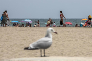 La platja és un dels indrets més concorreguts durant l'estiu.