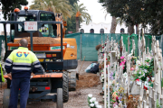 Imatge dels treballs en la fossa comuna del Cementiri de Reus per recuperar les restes de Cipriano Martos.