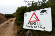 Cartells d'avís de batuda de porc senglar als camins d'accés a la zona afectada al Port.