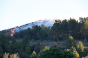 Un incendi crema una zona boscosa de la Selva del Camp.