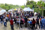 Imatge d'arxiu d'una Diada de Sant Jordi a Altafulla.