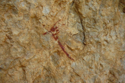 Figura de la Balma d'en Roc, un dels conjunts d'art rupestre que s'ha protegit l'entorn a Vandellòs.
