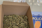 Durant l'operatiu al Vendrell es van intervenir més de 30 quilograms de marihuana llesta per a la venda.