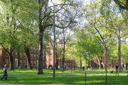 Científicos de la Universidad de Harvard recomienda tomar este "superalimento".