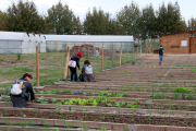 Diversos usuaris de 'Lo Tros' d'Amposta, un hort comunitari i ecològic, observen els bancals de terra.