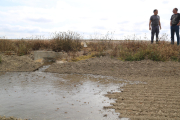 Un arrocero mientras se inicia la inundación de su finca en una campaña en la que contará con la mitad del agua.