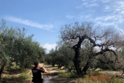 Un mosso fotografia el vessament de purins en una una finca del Mas de Barberans.