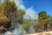 L'incendi s'ha detectat a l'altura de la Vall d'En Pastor.