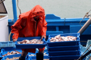 Un pescador de Cambrils transportant el peix en caixes.