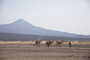 Fotografia d'arxiu d'un camellero en el desert de Danakil, en el nord d'Etiòpia.