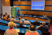 Un momento de la jornada sobre autoconsumo y comunidades energéticas organizada por el Colegio de Ingenieros Técnicos Industriales en el Camp de Tarragona y las Terres de l'Ebre en el Consell Comarcal del Montsià.