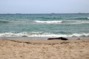 Punt de la platja del Miracle de Tarragona, on ha aparegut un cos sense cames i només un braç arrossegat pel mar.