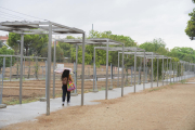 Imagen de una persona paseando bajo la lluvia por el parque del Roserar.