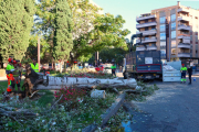 Imatge de l'arbre caigut a la plaça Imperial Tarraco de Tarragona.