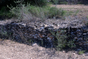 Imatge del punt concret on van trobar l'home mort violentament en una finca prop de Rasquera.