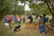 Actividad de la pasada edición.