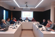 Imatge del Ple ordinari de l'Ajuntament de Castellvell del Camp d'aquest dimecres 22 de novembre