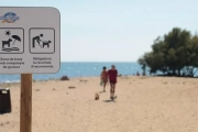 Imatge de la platja de gossos de Cambrils.